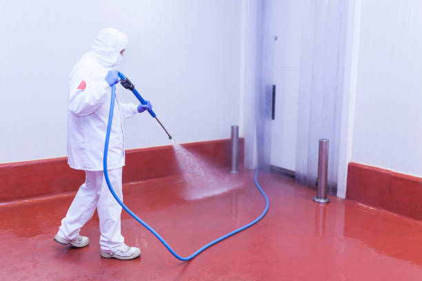 Best Sign and Awning Cleaning  in Linden, TX